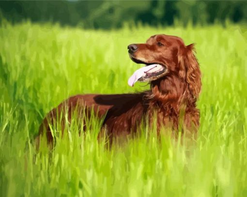 Brown Setter Pet paint by numbers