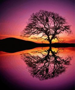 Reflection Tree by Water at Sunset paint by numbers