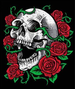Skulls and Roses Art paint by numbers