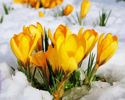 Spring Yellow Flower in Snow paint by numbers