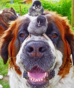 St Bernard Dog with Birds paint y numbers