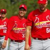 St Louis Cardinals Players paint by numbers