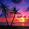 Sunset Palm Trees Seascape paint by numbers