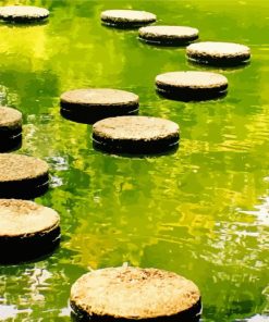 Aesthetic Stepping Stones paint by numbers