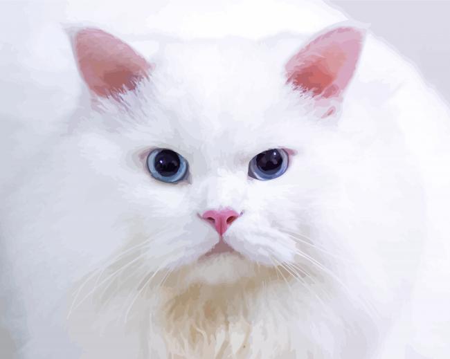 Aesthetic White Persian Cat paint by numbers