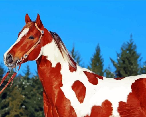American Paint Horses paint by numbers