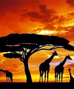 Animals Silhouette Kenya paint by numbers