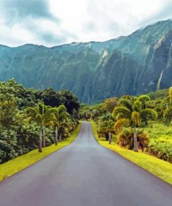 Beautiful Hawaii Road paint by numbers