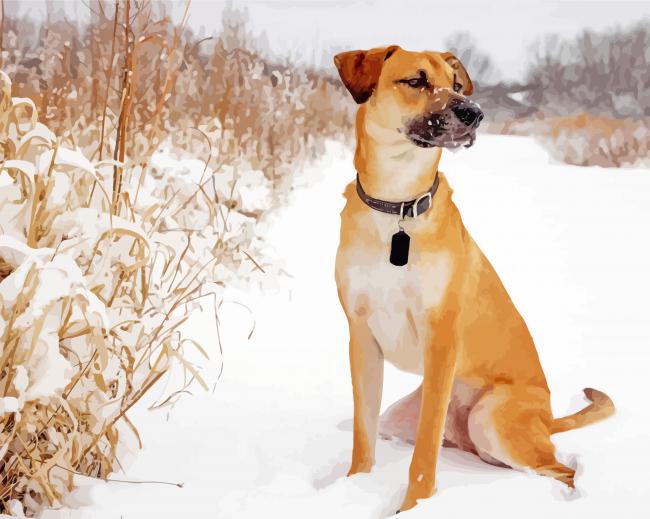 Black Mouth Cur Dog in Snow paint by numbers