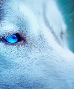 Blue Eyes Ice Wolf paint by numbers