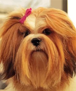 Brown Lhasa Apso paint by numbers