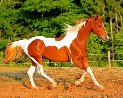 Brown Paint Horse paint by numbers