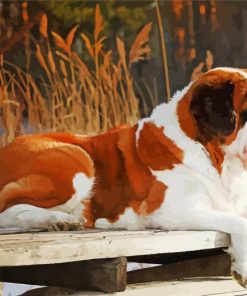 Brown St Bernard Dog paint by numbers