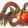 Brown Snake and Apple paint by numù