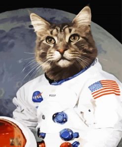 Cat Animal Astronaut paint by numbers