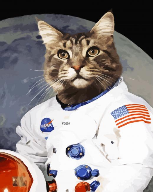 Cat Animal Astronaut paint by numbers