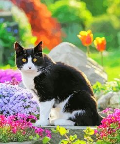 Cat in a Flowery Garden paint by numbers