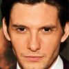Close Up Ben Barnes paint by numbers