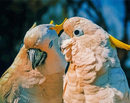 Cockatoos Couple Birds paint by numbers