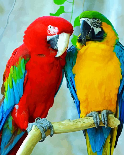 Colorful Amazon Parrots Birds paint by numbers