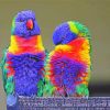 Colorful Cockatoos Birds paint by numbers