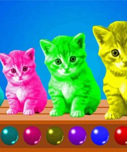 Colorful Kittens Pets paint by numbers