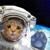 Cute Animal Astronaut in Space paint by numbers