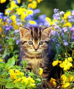 Cute Little Cat in Garden paint by numbers