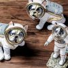 Dogs Animals Astronauts paint by numbers