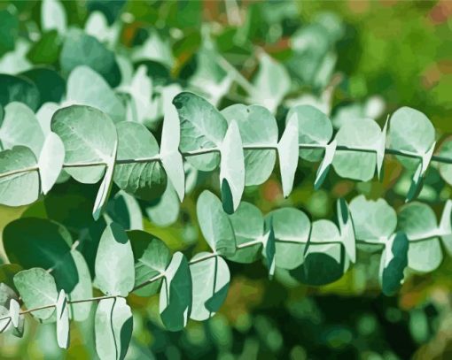 Eucalyptus Young Leaves paint by numbers