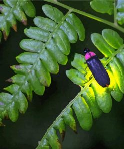 Glowing Fireflies paint by numbers