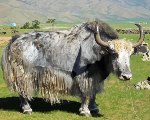 Grey Domestic Yak paint by numbers