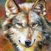 Grey Wolf Animal Art paint by numbers