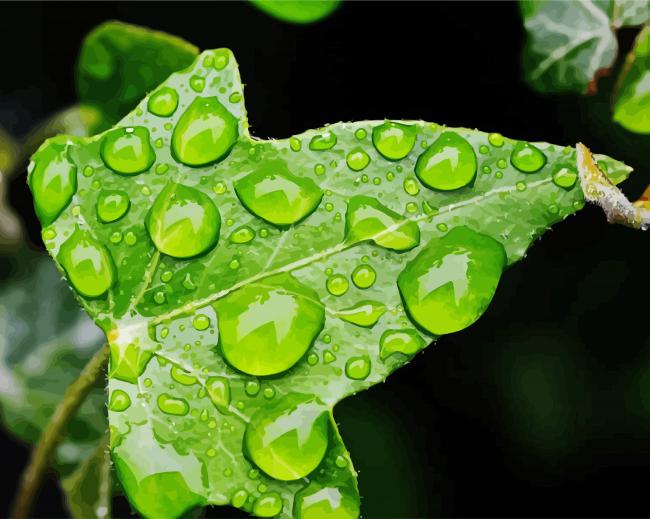 Ivy Leaf with Water Drops paint by numbers