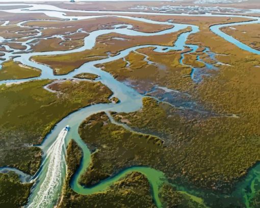 Lowcountry Marsh Aerial paint by numbers