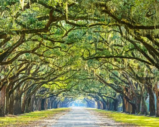 Lowcountry Trees paint by numbers