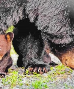 Mama Bear and Cub paint by numbers