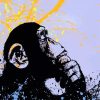 Monkey Banksy Art paint by numbers