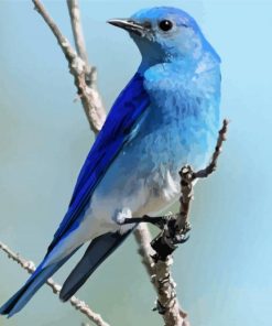 Mountain Bluebird on Stick paint by numbers