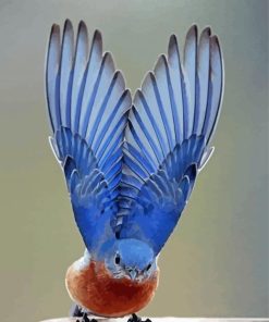 Mountain Bluebird Wings paint by numbers