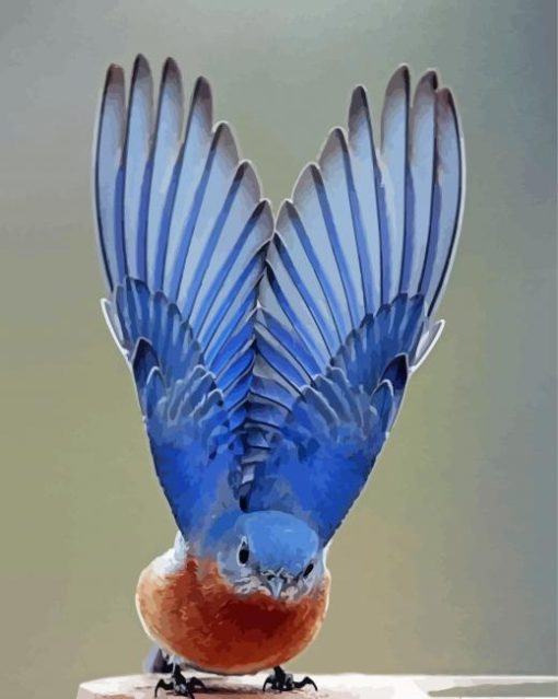 Mountain Bluebird Wings paint by numbers