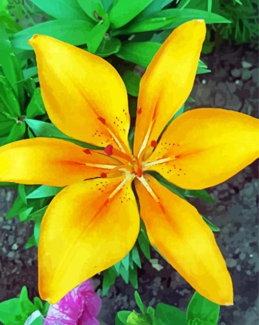 Yellow Bright Lily paint by numbers