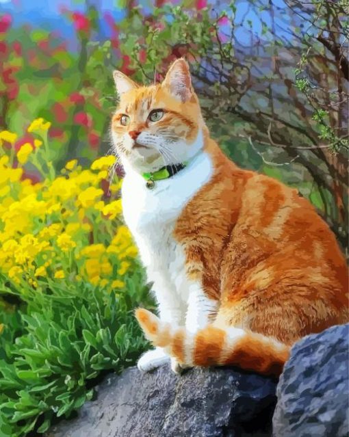 Orange Cat in Garden paint by numbers