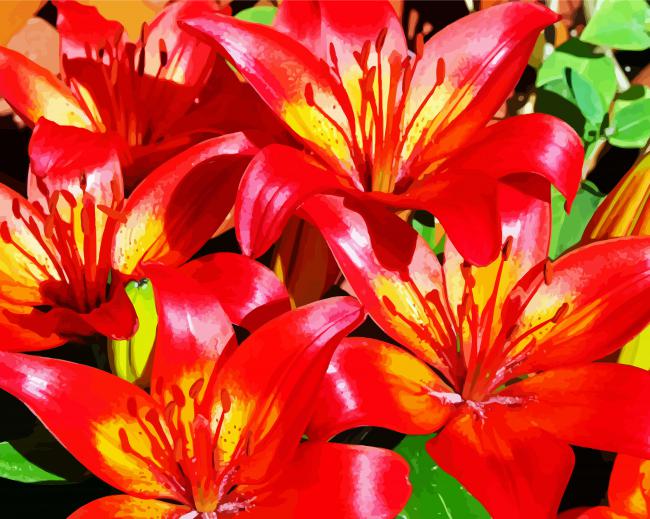 Orange Red Bright Lilies paint by numbers