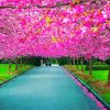 Pink Flower Trail Landscape paint by numbers