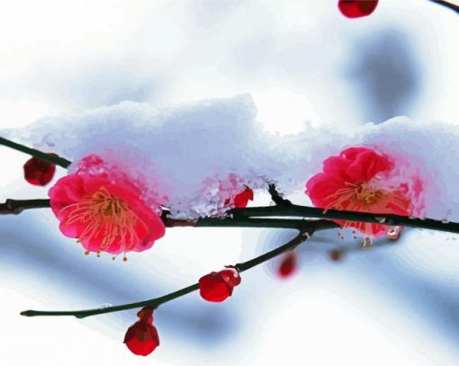 Pink Winter Snow Flowers paint by numbers