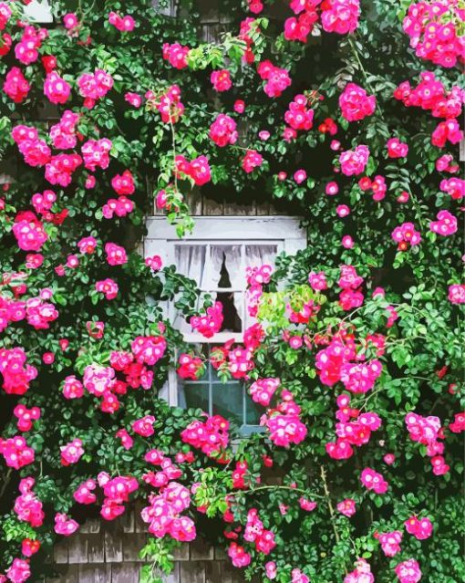 Roses Cottage Window Flowers paint by numbers