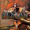 Sekiro Game Poster paint by numbers