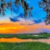 South Carolina Lowcountry paint by numbers