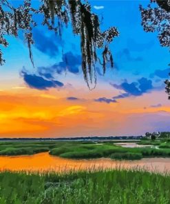 South Carolina Lowcountry paint by numbers